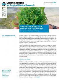 Cover ZMT Newsletter 01 2018