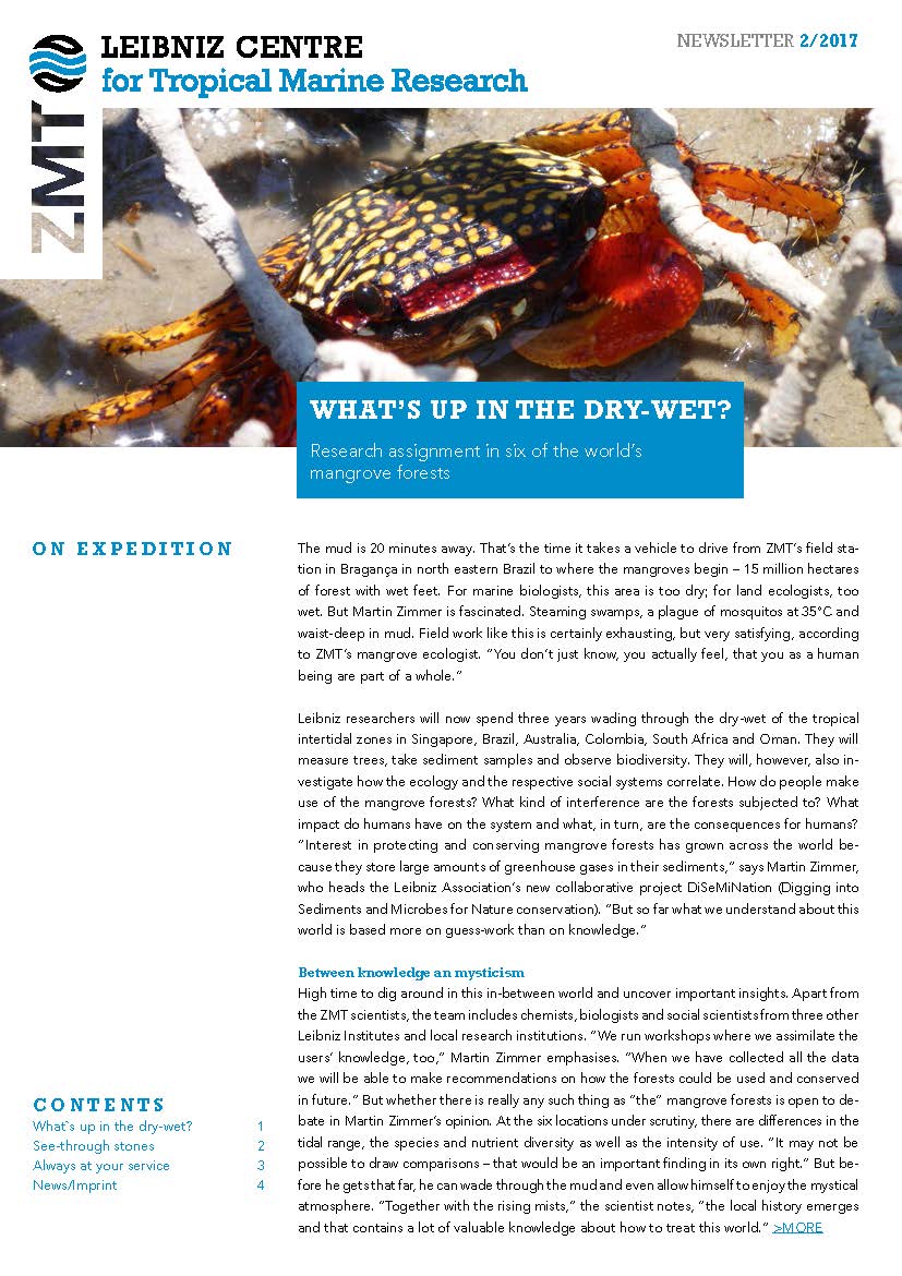 Cover ZMT Newsletter 01 2021