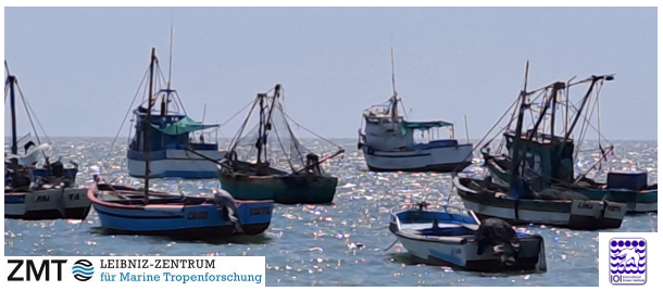 Fishing boats in the sunshine on a calm sea, logos of ZMT and IOI placed in the lower corners of the photo