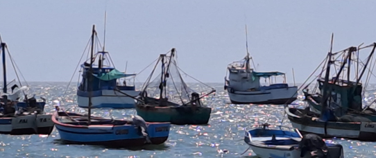 Eine Gruppe kleiner Fischerboote mit hohen Masten und Netzen treibt dicht beieinander auf ruhigem, sonnenbeschienenem Wasser. Das Sonnenlicht erzeugt einen funkelnden Effekt auf der Wasseroberfläche. Die Boote sind in verschiedenen Farben wie Blau, Weiß und Grün gestrichen und scheinen vor der Küste vor Anker zu liegen. Der Himmel ist klar und hellblau.