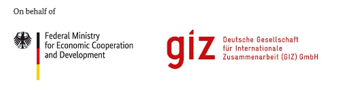 Logo GIZ BMZ