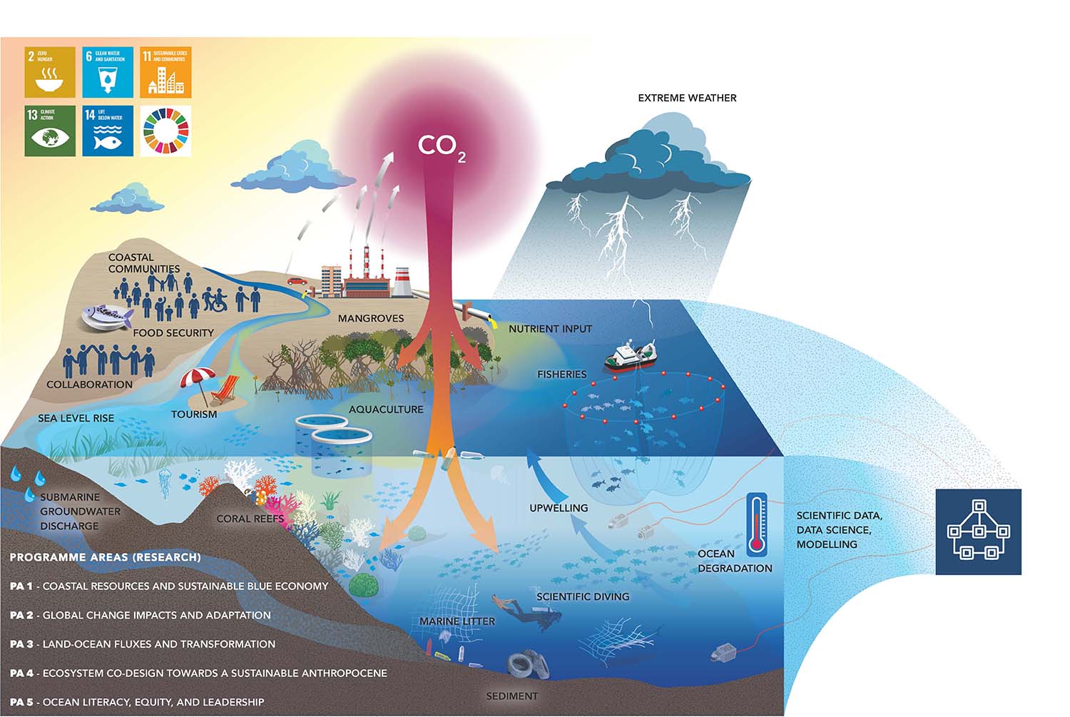 ZMT Research Forschung Illustration