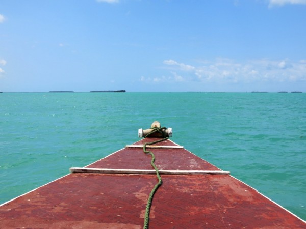 Sansiabr Ines Viana Gonzalez  ZMT Sansiabr Ines Viana Gonzalez  ZMT