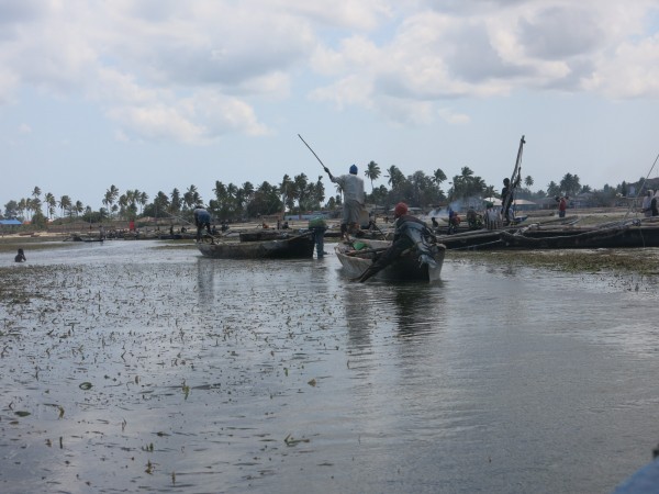 chwaka harbour chwaka harbour
