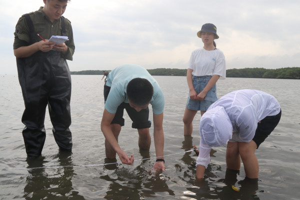 Laying the tape to mark out a transect | Photo: Chunxia Jiang, Hainan University Laying the tape to mark out a transect | Photo: Chunxia Jiang, Hainan University