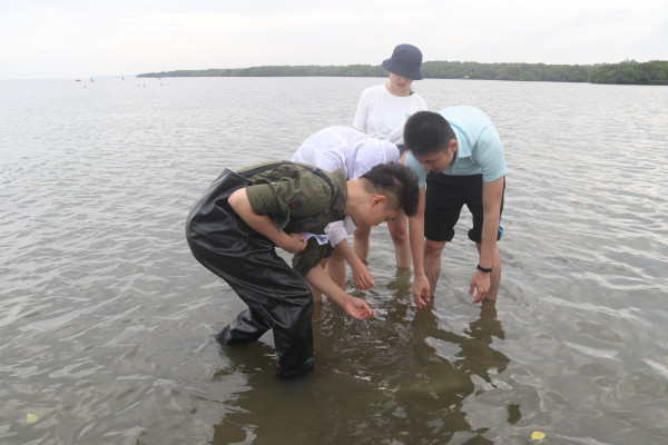 Estimating seagrass species composition | Photo: Chunxia Jiang, Hainan University Estimating seagrass species composition | Photo: Chunxia Jiang, Hainan University