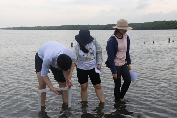 Describing the sediment composition | Photo: Chunxia Jiang, Hainan University Describing the sediment composition | Photo: Chunxia Jiang, Hainan University