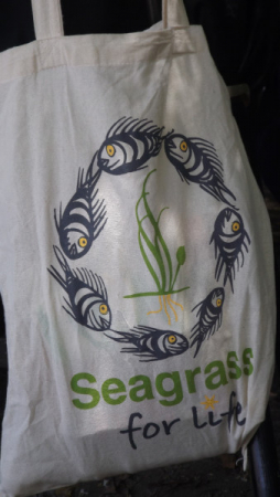 Seagrasses for Life Workshop Znazibar Nov 2019  11  Seagrasses for Life Workshop Znazibar Nov 2019  11