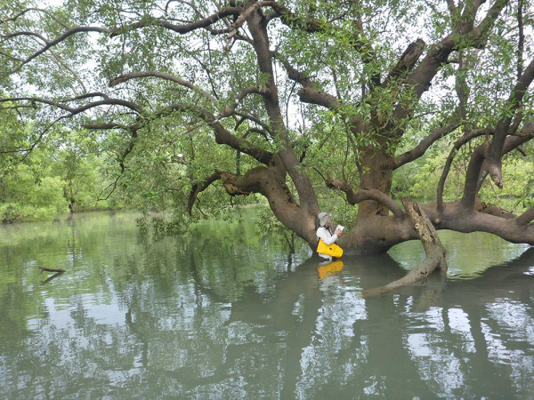 Sea4soCiety Expedition Malaysia 4 web Sea4soCiety Expedition Malaysia 4 web