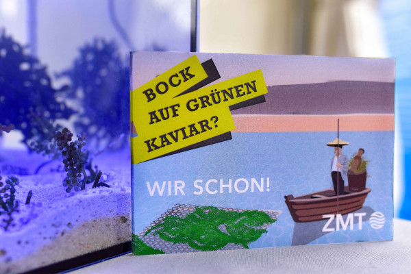 Open campus 2023 LISA ZIMMERMANN  10  web Open campus 2023 LISA ZIMMERMANN  10  web