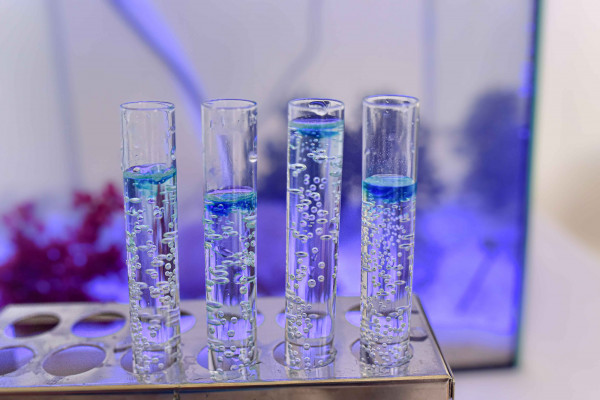 Open campus 2023 LISA ZIMMERMANN  12  web Open campus 2023 LISA ZIMMERMANN  12  web