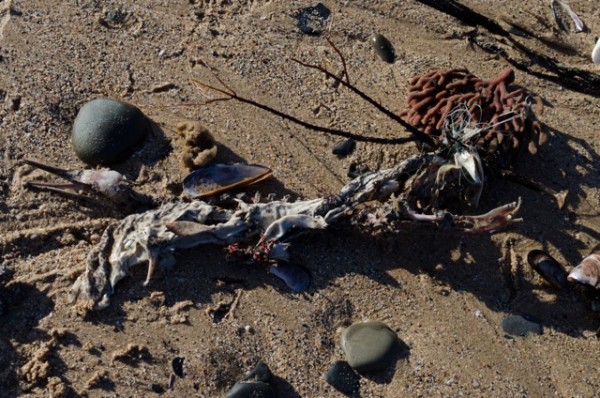 Entanglement Entanglement