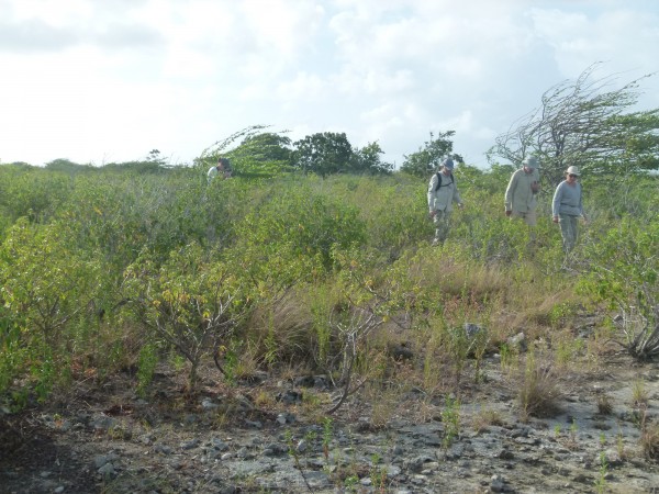 Klein Bonaire Klein Bonaire