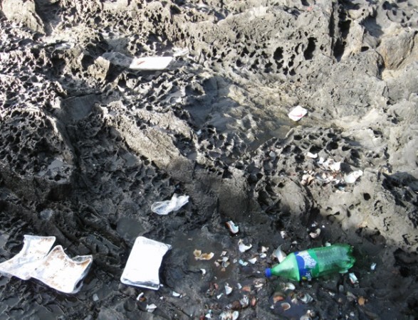 SR Litter Block SR Litter Block