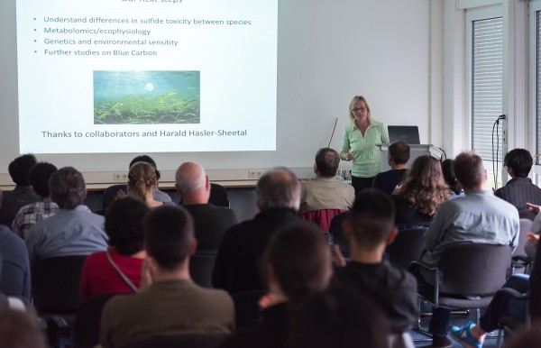 BEST Holmer 3 BEST Holmer 3