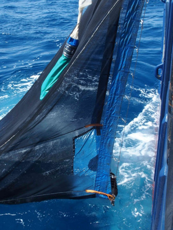 Fang mit dem ‚Rectangular Midwater Trawl‘ . Fang mit dem ‚Rectangular Midwater Trawl‘ .
