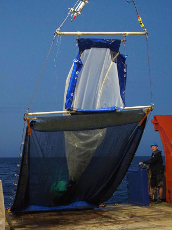 Fang mit dem ‚Rectangular Midwater Trawl‘  Fang mit dem ‚Rectangular Midwater Trawl‘
