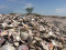 Riesige Haufen leerer Jakobsmuschelschalen bedecken eine weitl&auml;ufige K&uuml;stenlandschaft. Die Schalen schimmern in Wei&szlig;-, Rosa- und Braunt&ouml;nen, w&auml;hrend im Hintergrund ein einzelner Baum steht.