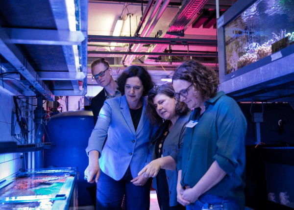 antrittsbesuch senatorin moosdorf   web antrittsbesuch senatorin moosdorf   web