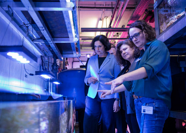 antrittsbesuch senatorin moosdorf  . web antrittsbesuch senatorin moosdorf  . web