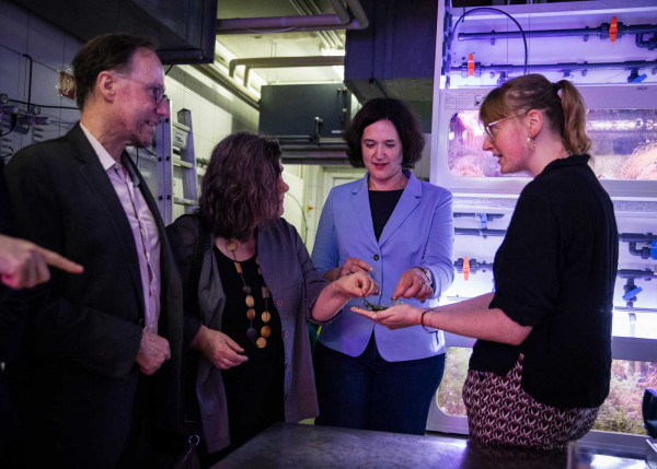 antrittsbesuch senatorin moosdorf   web antrittsbesuch senatorin moosdorf   web