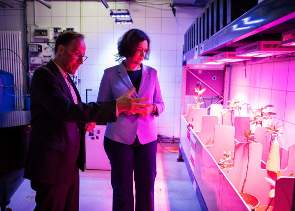 antrittsbesuch senatorin moosdorf   web antrittsbesuch senatorin moosdorf   web