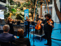 zmt 35 jahre event   ergebnis