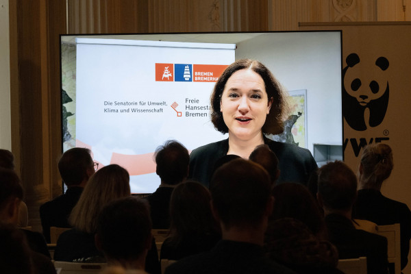 mangrove future day2024 mangrove future day2024