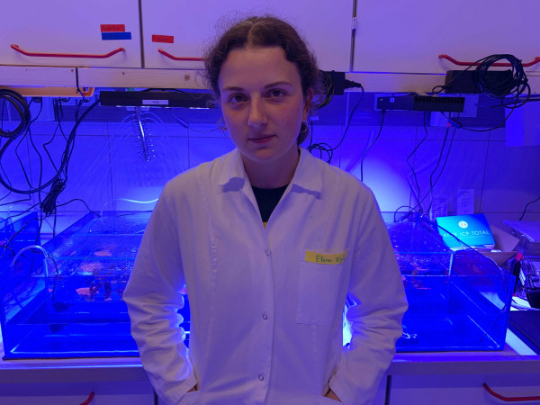 maree experiments naonplatiscs corals elana kysil   web maree experiments naonplatiscs corals elana kysil   web