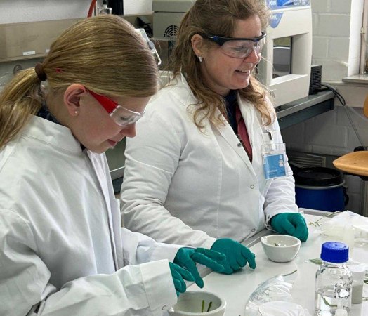 zukunftstag d monien  web  zukunftstag d monien  web