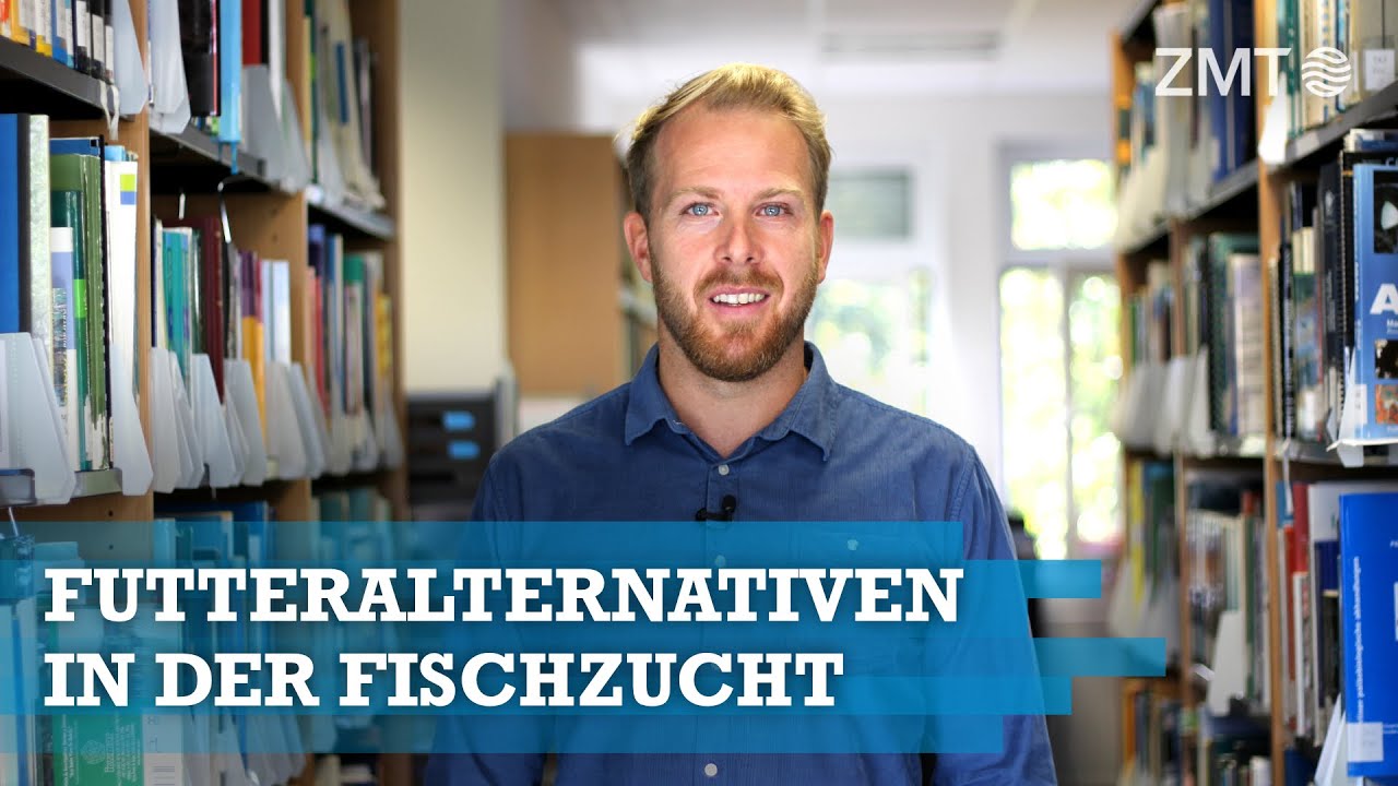 Youtube Vorschau - Video ID XN8Ioron-7w