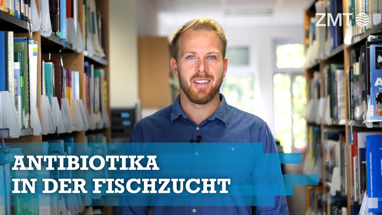 Youtube Vorschau - Video ID bIYq5Bwh4_w