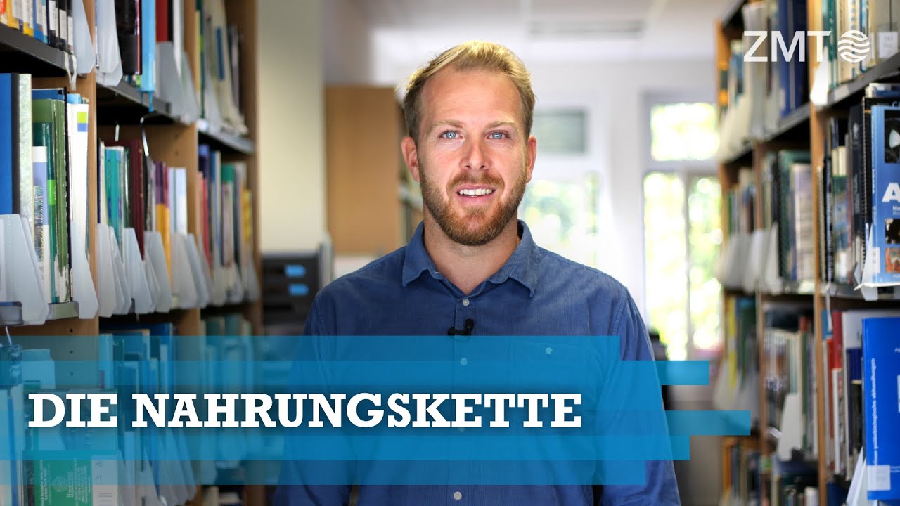 Youtube Vorschau - Video ID hnphDvdxw9c