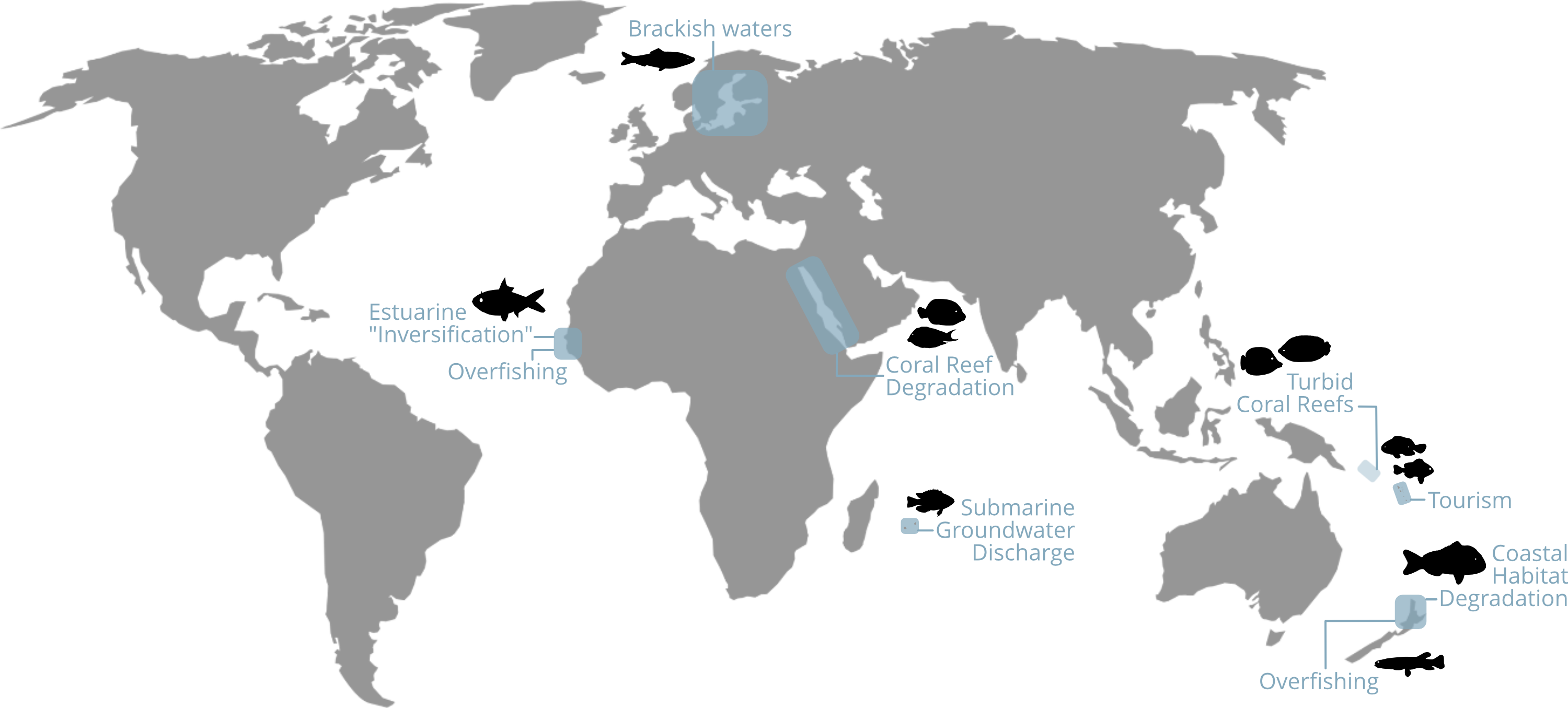 20241410 Field Work map