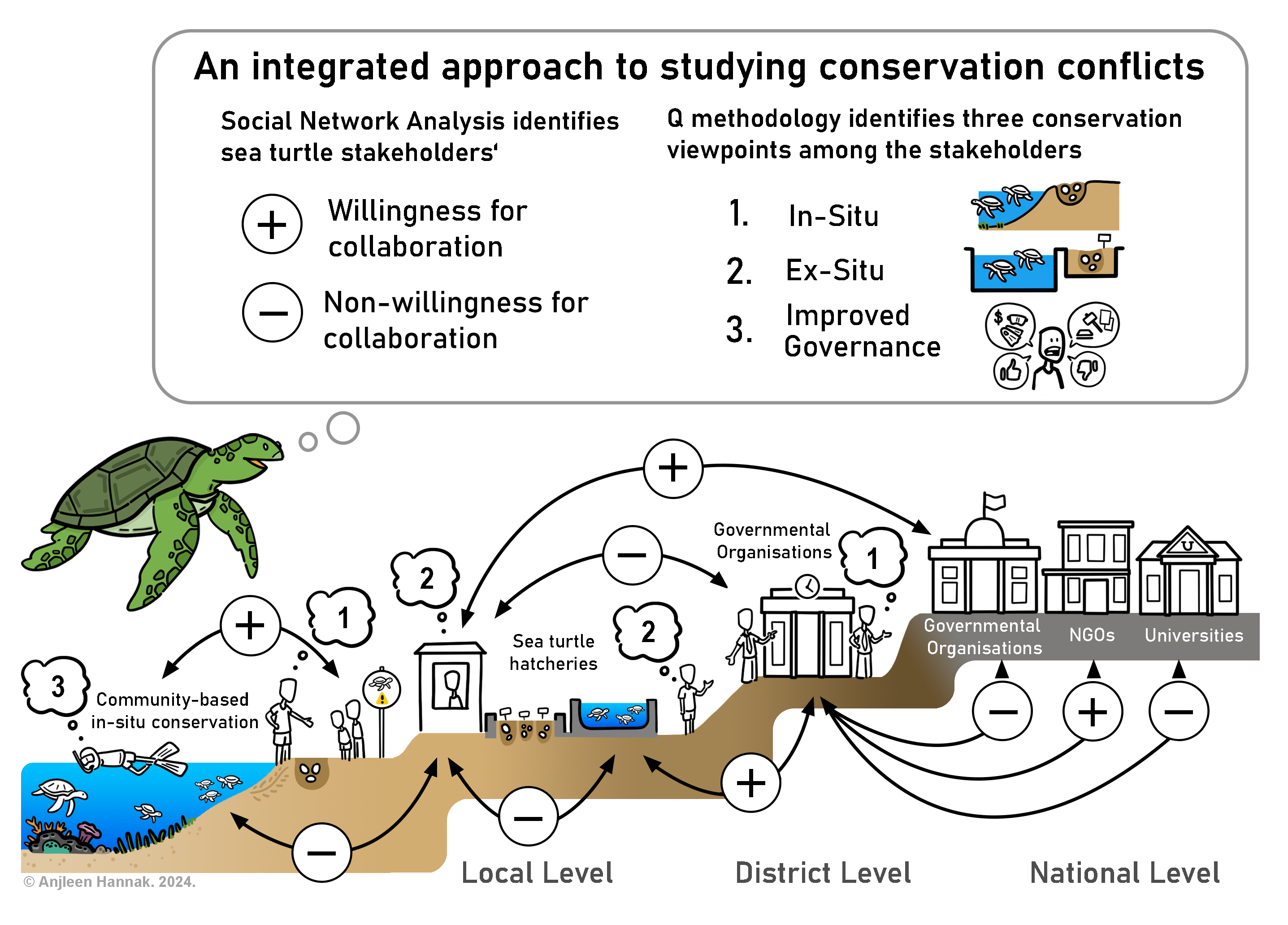 VisualAbstract Turtle 2024