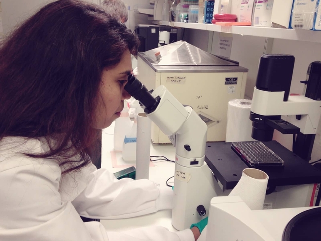 Dr. Rima Beeoo in her research, the African scientist will investigate the nutritional components of jellyfish species currently in culture at ZMT. | Photo: Privat