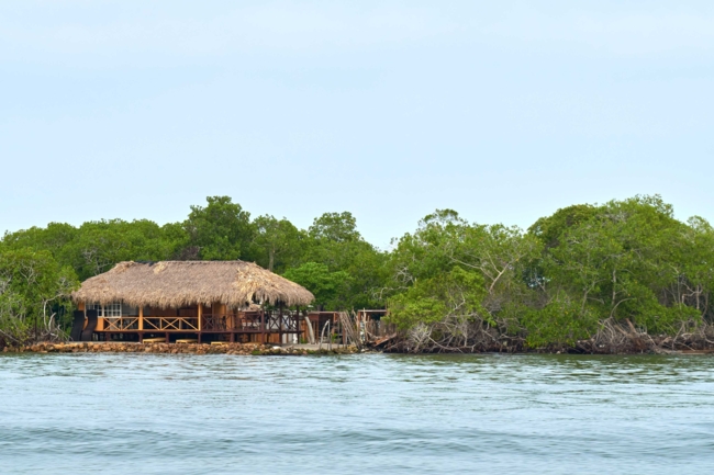 Straw-thatched house at a mangrove-tree lined coast