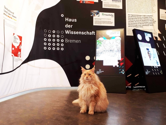 Ausstellung zum 15-jährigen Jubiläum. Auch der stadtbekannte Kater Ernie ließ es sich nicht nehmen, der Ausstellung einen Besuch abzustatten. | Foto: Dagmar Nürnberger