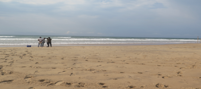 A group of people stands at a distance from the waterline on the beach