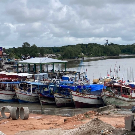 Research in short: Governance Gaps in the managment of artisanal Pargo fishery in Northern Brazil