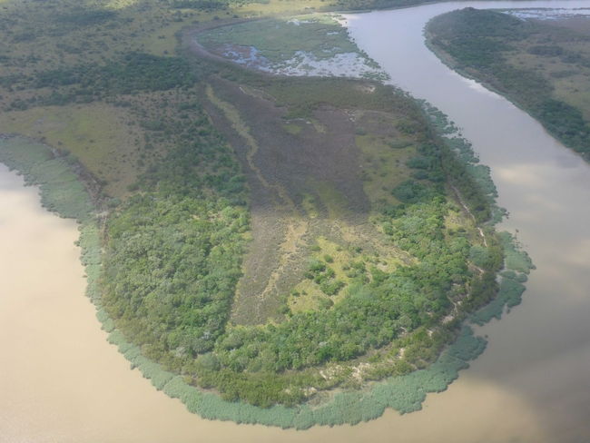 Luftaufnahme eines küstennahen Feuchtgebiets mit brackigem Wasser, das eine breite, bogenförmige Lagune bildet. Die Landzunge im Zentrum ist von verschiedenen Vegetationstypen bedeckt: dichte grüne Mangrovenbestände entlang der Uferlinie, dahinter offenere Gras- und Buschflächen sowie ein zentral gelegenes, dunkleres, sumpfiges Areal.