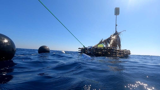 The photo shows a bamboo raft floating in the sea covered with plamen fronds, with buoys hanging from the raft