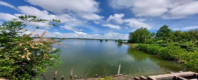 aquaculture pond
